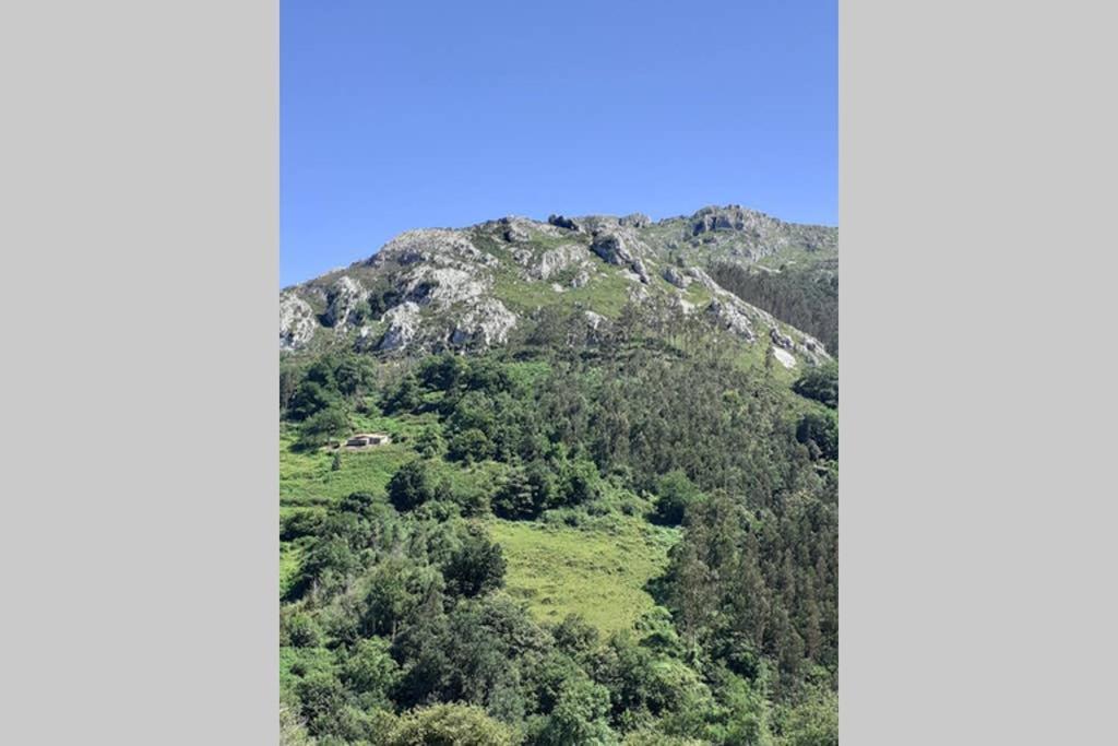 La Vierta Casa Rural Agroturismo Ribadesella Luaran gambar